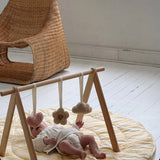 play gym & mat bundle