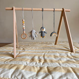 grey friends - baby play gym