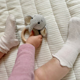 Zola - the wise elephant