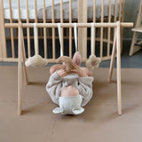 lovely daisy - baby play gym