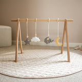 nighty night elephant - baby play gym