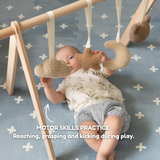 choco the bear - baby play gym