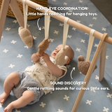 choco the bear - baby play gym